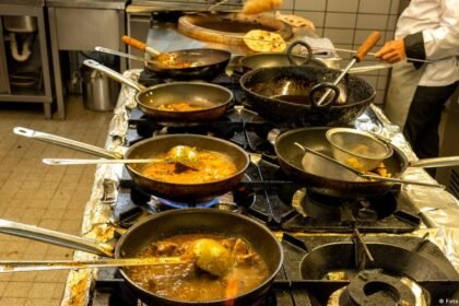 India: Are food safety rules too much to swallow?