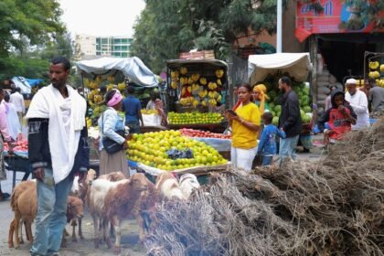 Ethiopia: No regard for civilians as fighting in Ethiopia's Tigray region continues