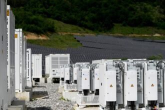 How Bulgaria become a global leader in battery storage and what this means for the country's grid and energy market?
