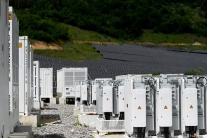How Bulgaria become a global leader in battery storage and what this means for the country's grid and energy market?