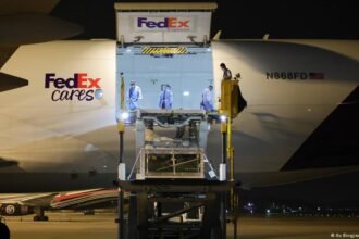 China sends two giant pandas off to Atlanta zoo after Xi-Trump summit