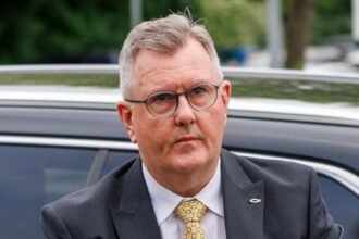 Jeffrey Donaldson's child sex abuse convictions 'obliterate' life's work