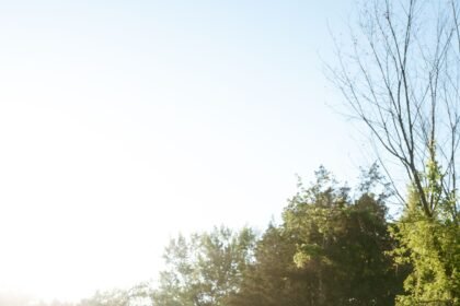 The Bride Wore an Antique Wax Flower Crown for Her Backyard Wedding in the Hudson Valley