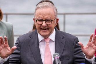 Australia seeks big tech support for internet safety, AI regulation