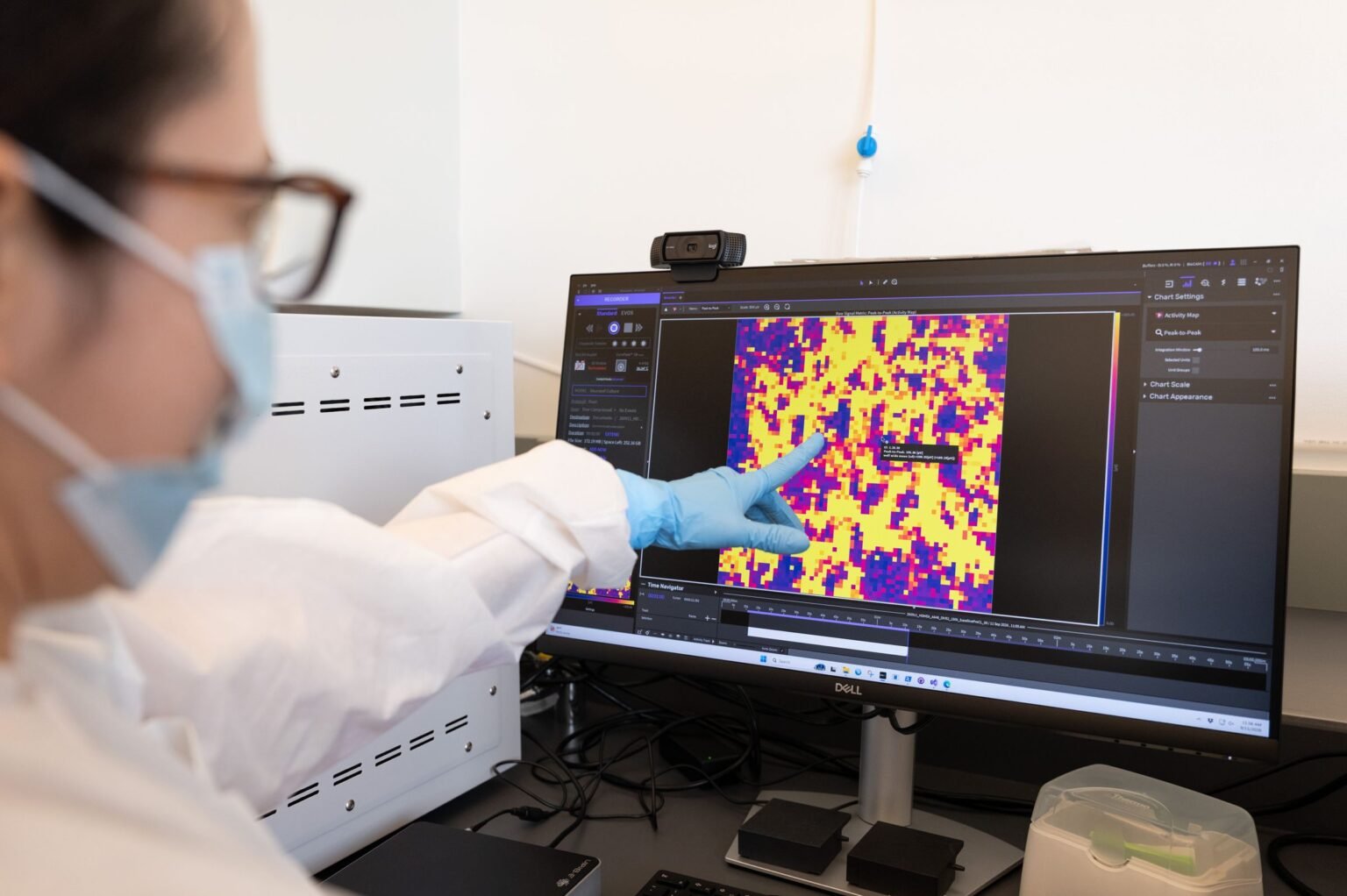 AI Models Built From Rat Brains Just Got Closer to Reality