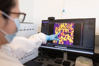 AI Models Built From Rat Brains Just Got Closer to Reality