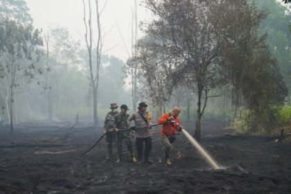Scientists warn super El Nino could cause 450,000 deaths: Should we worry?