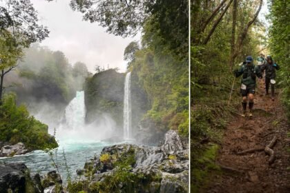 In the Rainforest of Chilean Patagonia, Pushing My Limits at a Trail Running Retreat