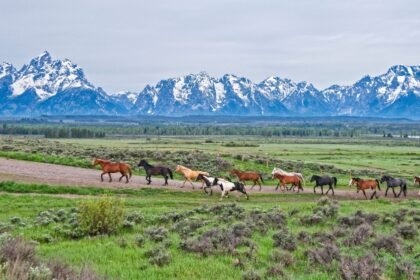 The 25 Best National Parks in the US For Jaw-Dropping Nature—With Fewer Crowds