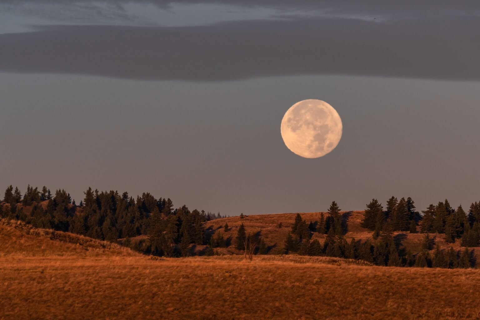 The 2026 Harvest Moon in Aries Is Coming—Here’s What It Means for Every Star Sign