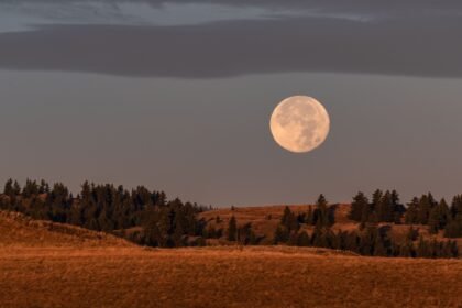 The 2026 Harvest Moon in Aries Is Coming—Here’s What It Means for Every Star Sign