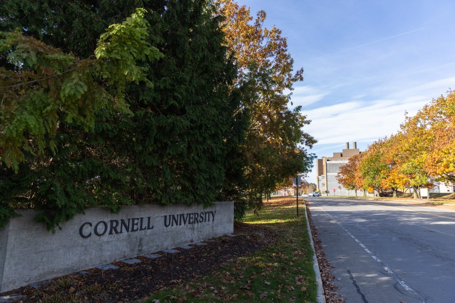 Cornell students blast school’s response as gang-rape scandal rocks campus: ‘Priority not to help the victim’