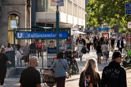 ‘Hope’ rises in Berlin immigrant communities as Left wins amid AfD gains