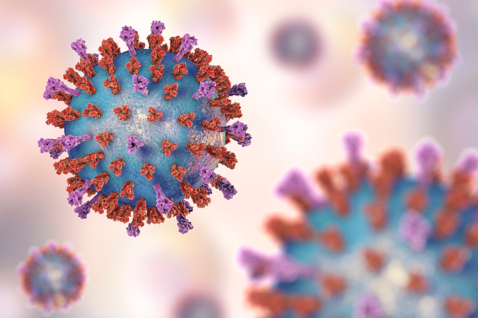 RSV Vaccines Are Highly Effective in Older Adults