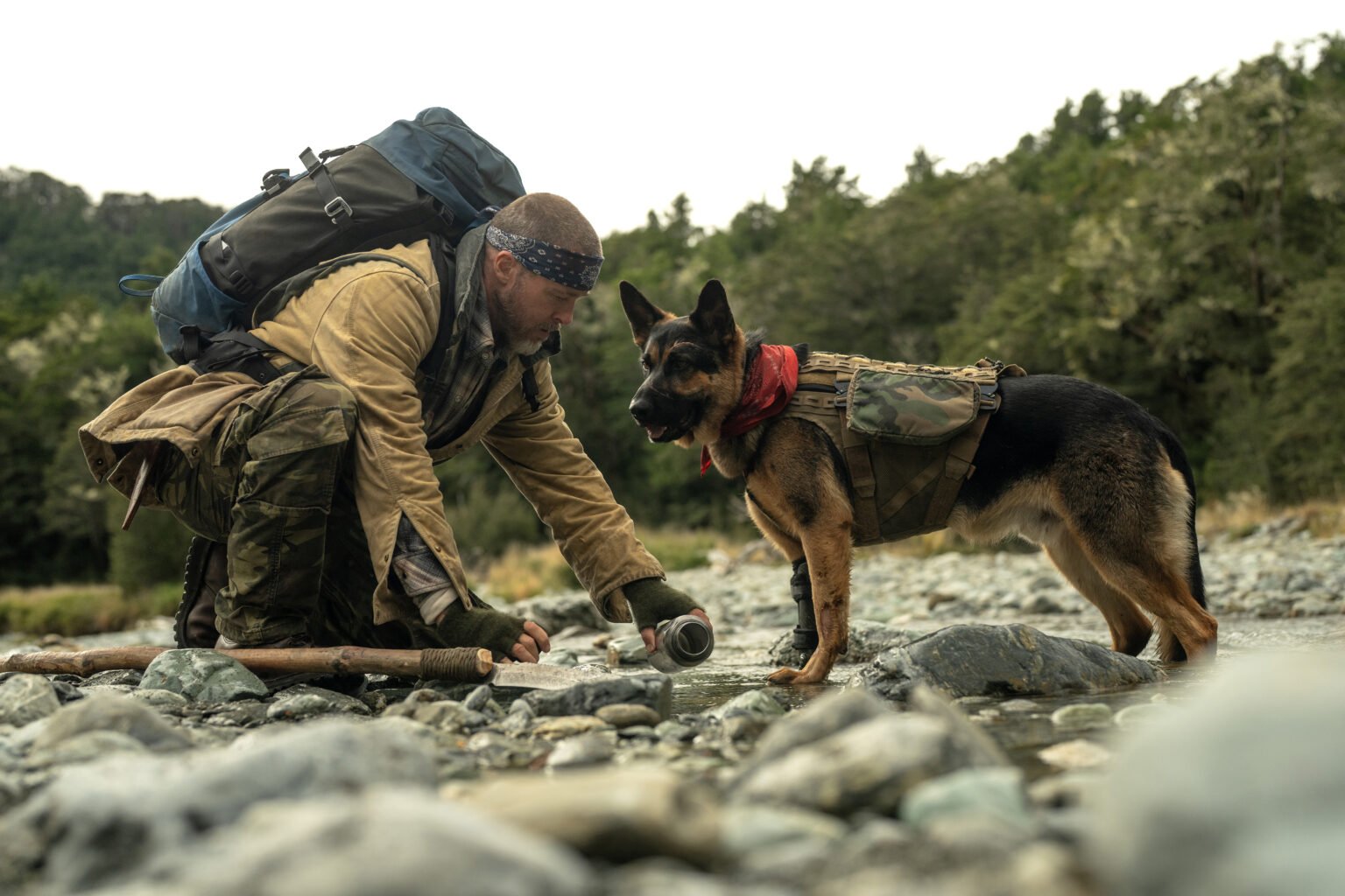 ‘Heart of the Beast’ Review: Brad Pitt Is a Veteran Stranded With His Combat Dog in David Ayer’s Stirringly Crafted Survival-in-the-Wild Saga