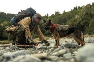 ‘Heart of the Beast’ Review: Brad Pitt Is a Veteran Stranded With His Combat Dog in David Ayer’s Stirringly Crafted Survival-in-the-Wild Saga
