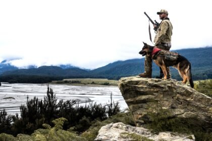 In Heart of the Beast, New Zealand's South Island Makes a Compelling Dupe for Alaska