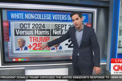 One demographic is ‘ripping the heart out of Trump’s presidency,’ pollster warns