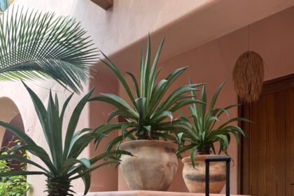10% Solgaard Discount Code | September 2026 | Condé Nast Traveler