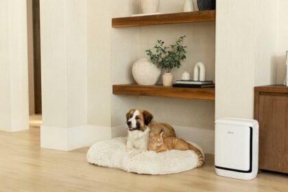 Levoit’s new air purifier is for the pet odors that have taken over your apartment