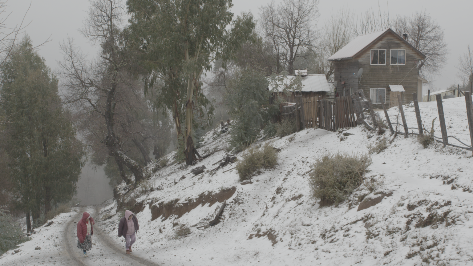 Chile’s Sanfic Set to Screen Late Documentarian Antonio Caro’s Swan Song ‘Monguen’ Among Nine Chilean Pics in Competition (EXCLUSIVE)