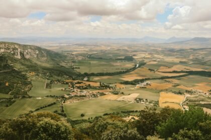 Inside the Basque Production Boom: Who Owns the Growth?