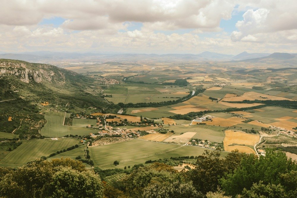 Inside the Basque Production Boom: Who Owns the Growth?