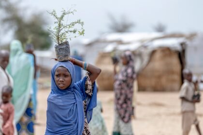 Hundreds flee homes in Far North Cameroon after armed group raid kills 15