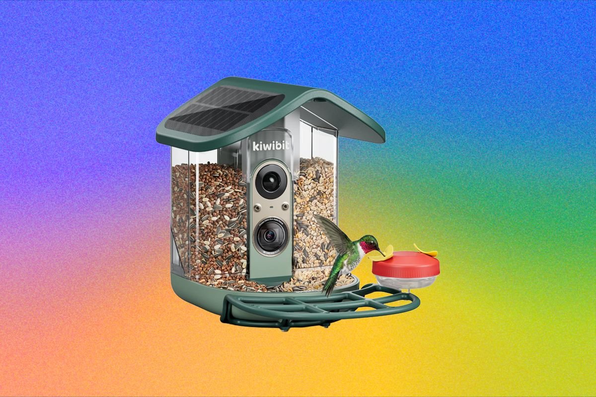 Kiwibit Bird Feeder 2 Pro Review: Premium but Paywalled