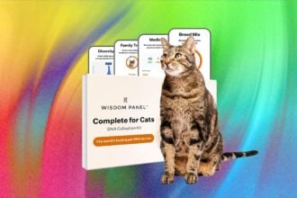 What’s the Best Pet DNA Test? We Tested the Most Popular Ones