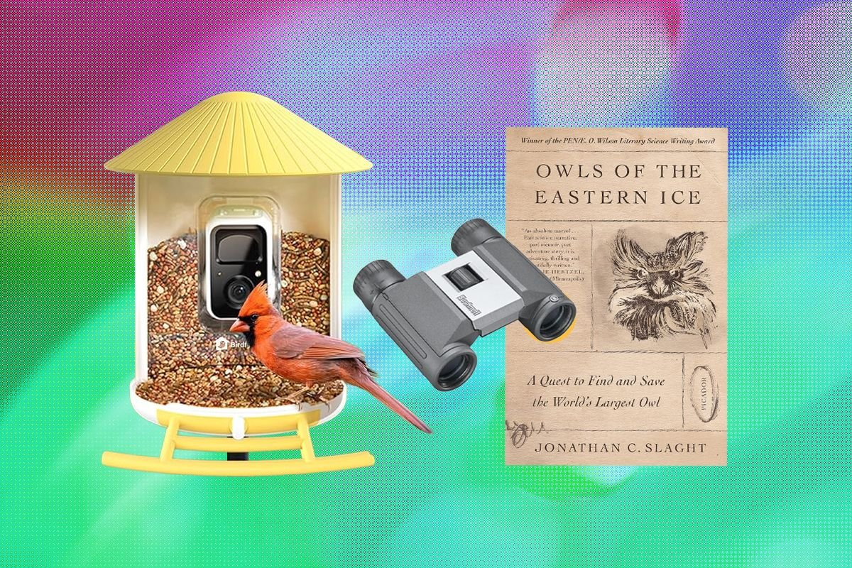 An Editor’s Picks: The Best Gifts for Bird Lovers