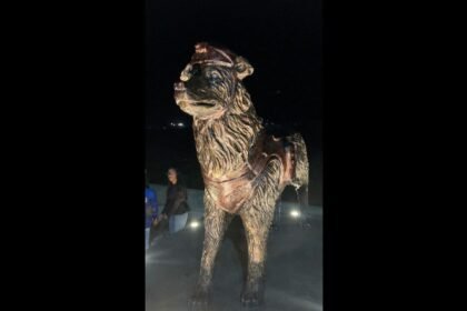 Venezuela quakes rescue dog ‘Tsunami’ honoured with statue