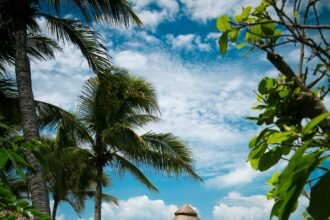 Xcaret Promo Code: 20% Off | September 2026 | Condé Nast Traveler