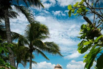 Xcaret Promo Code: 20% Off | September 2026 | Condé Nast Traveler