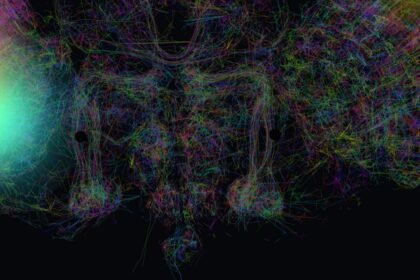 Google's simulated fruit fly brain 'mines Bitcoin' in web browser proof of concept — FutureBit says real organic neuron miner could have '10x the efficiency of the best silicon 3nm ASICs'