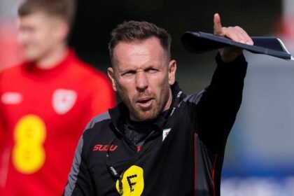 Questions over Wales form not unfair - Bellamy