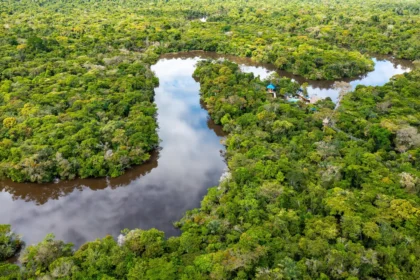 Amazon study reveals the best strategies for protecting biodiversity and carbon