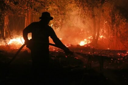 El Niño could cause 451,000 more heat deaths compared to normal year, group says