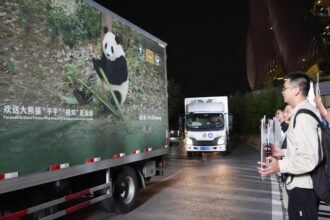 New giant pandas from China arrive in Atlanta zoo