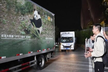 New giant pandas from China arrive in Atlanta zoo
