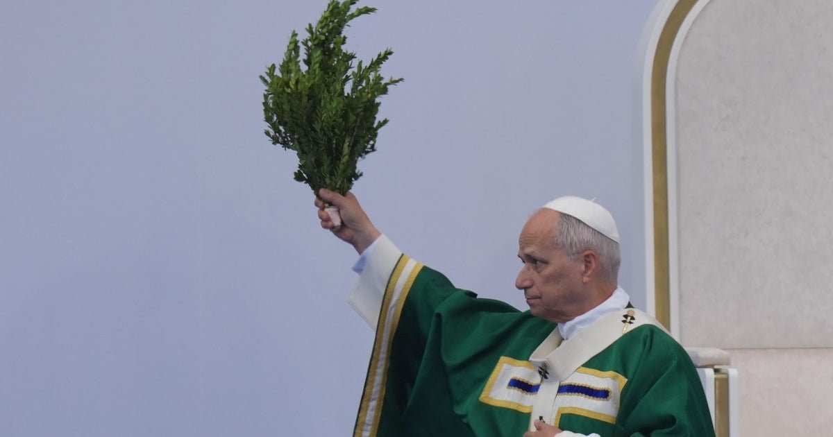 Pope Leo criticizes legalization of assisted dying as "false compassion"