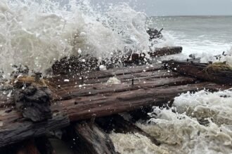 Possible 1884 shipwreck exposed by nor'easter on Nantucket