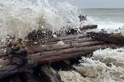Possible 1884 shipwreck exposed by nor'easter on Nantucket