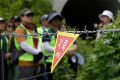 Three South Korean officers wounded in border explosion
