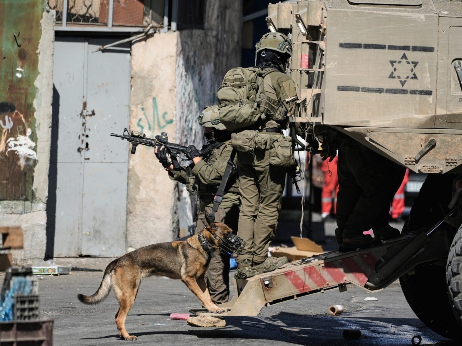 Palestine weekly: Violent disruptions from olive groves to Al-Aqsa Mosque