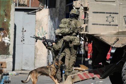 Palestine weekly: Violent disruptions from olive groves to Al-Aqsa Mosque