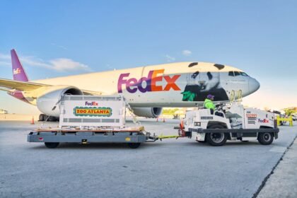 Giant pandas arrive in Atlanta as part of 10-year US-China agreement
