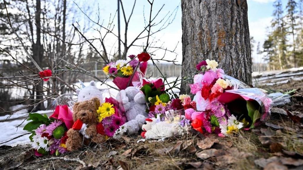 Canadian province sues OpenAI over Tumbler Ridge school shooting