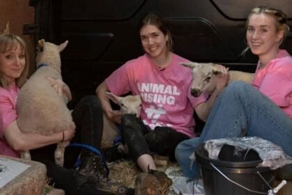 Activists found guilty of theft of King's lambs