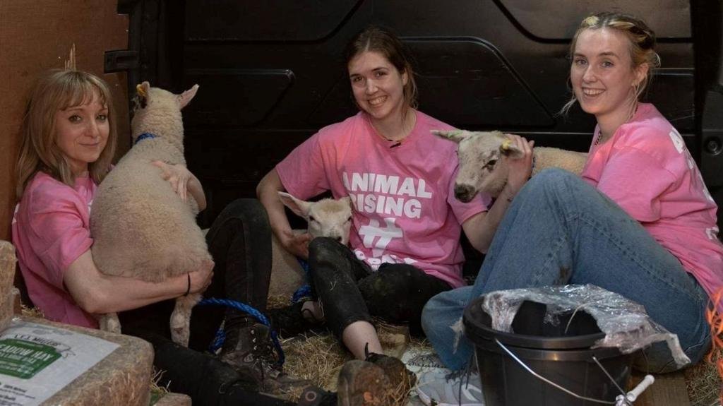Activists found guilty of theft of King's lambs